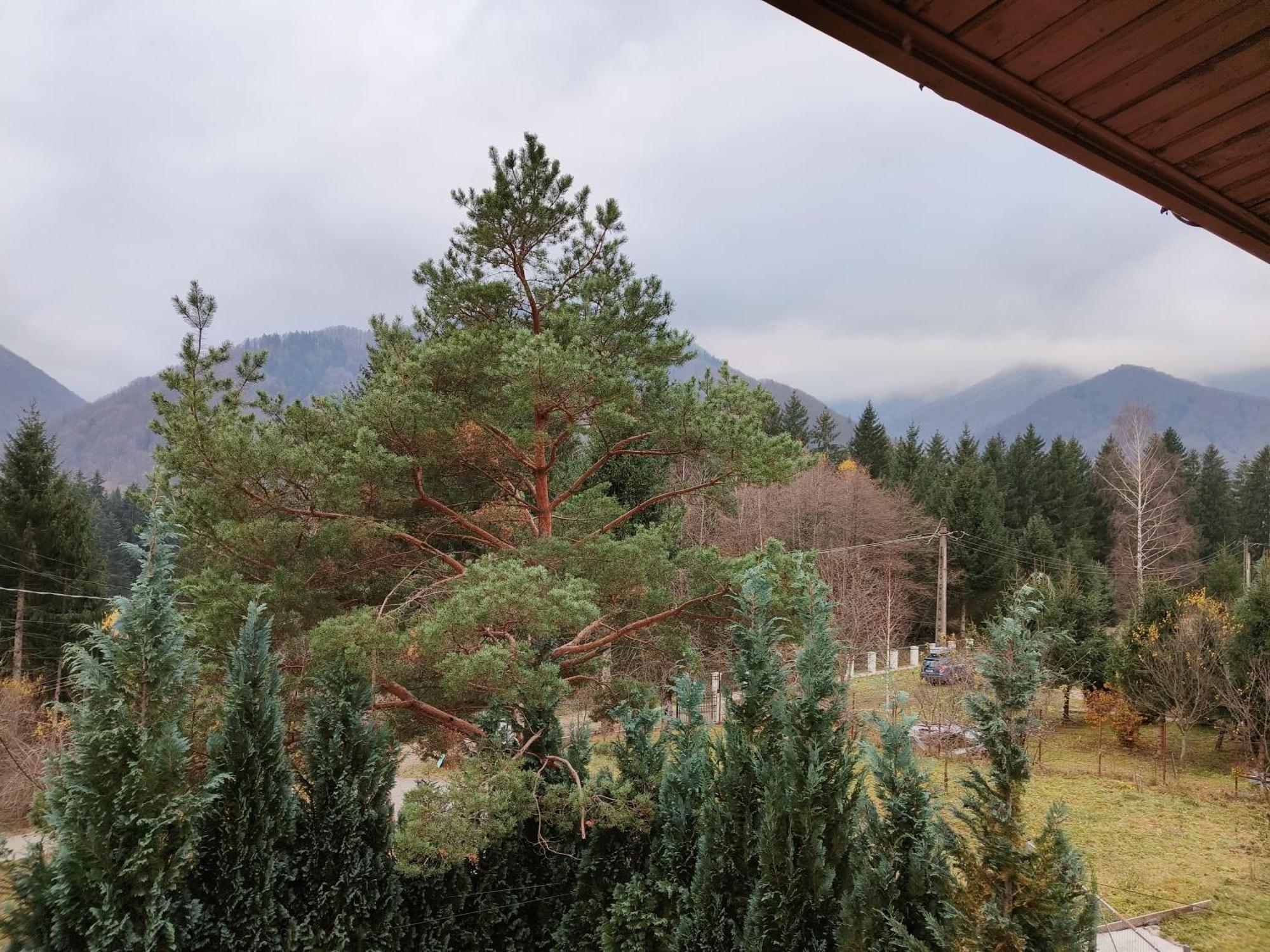Casa Dintre Meri Poiana Mărului Exteriér fotografie